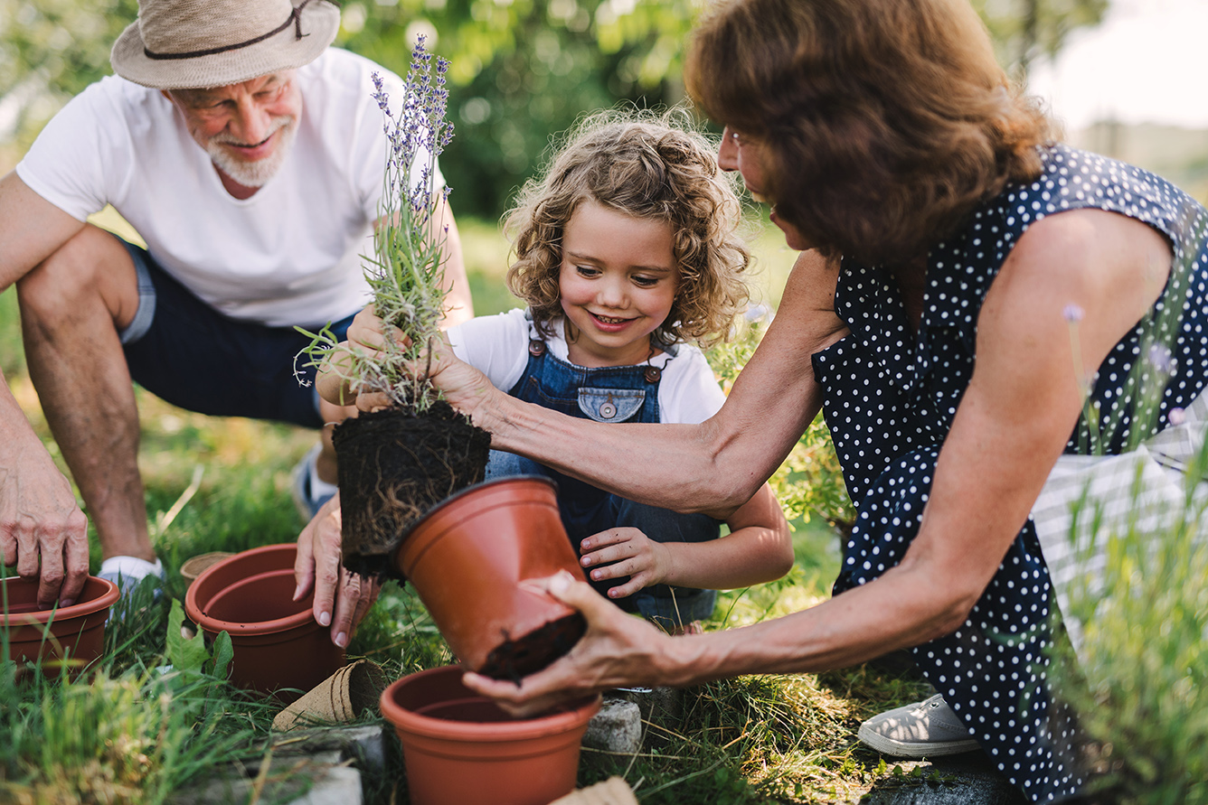 Financial Estate Legacy Services | Totemic Wealth Planning